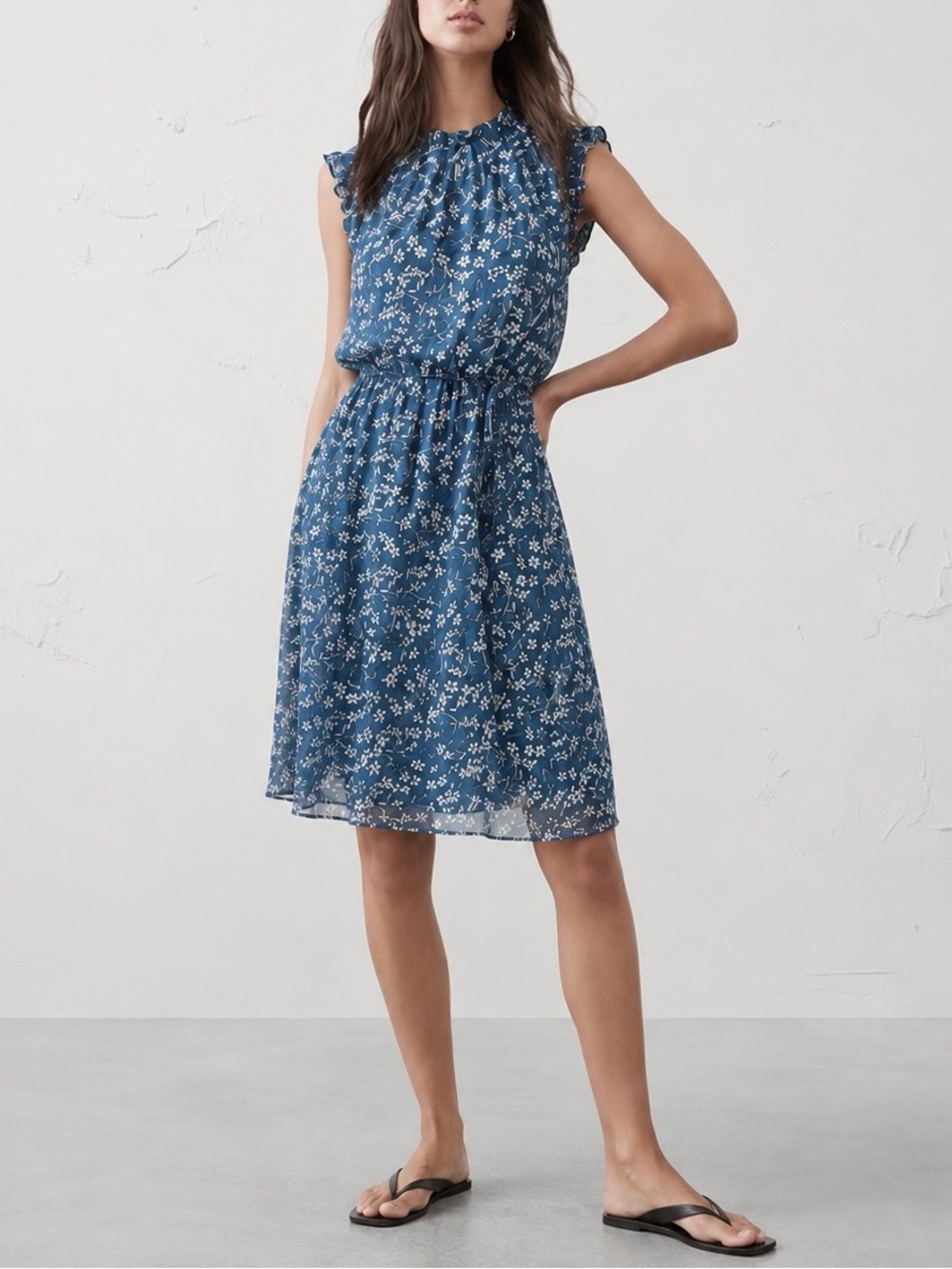 Banana Republic Floral Ruffle Dress Blue Size 6P Petite NWT $159